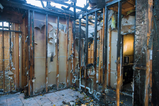 Professional Fire Damage Removal technician working in Valley Grande, AL